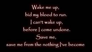 Evanescence  Wake me up Inside Lyrics [upl. by Hyacinthia]