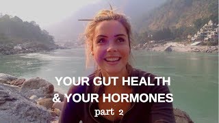 7 Steps to Heal Your Gut [upl. by Guinn]