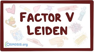 Factor V leiden  an Osmosis Preview [upl. by Atinnek]