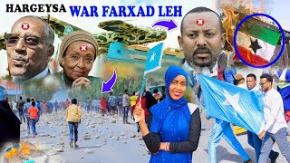 FARXAD Kacdoonka Hargeysa oo Xoogeystay Calanka Somalia ayey Qaateen Shacabka Jabka EthiopiaXOG [upl. by Rede]