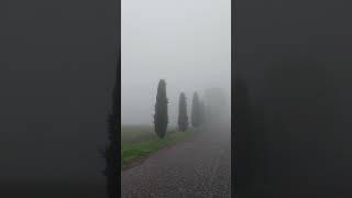 Nebbia in montagna travo pc [upl. by Feldman]