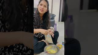 Instant cake mix for dogs😁 minivlog instantcake petfriendly petlover love viral layareddy01 [upl. by Gaultiero]