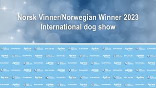 Norsk VinnerNorwegian Winner 2023 International dog show [upl. by Paten]