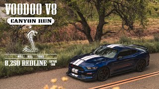 Ford GT350R Canyon Run  Magnificent Voodoo V8 Exhaust Note [upl. by Yessak]