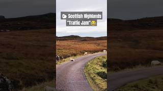 🐑🏴󠁧󠁢󠁳󠁣󠁴󠁿 A Scottish Highlands travel challenge😂 campervanadventures scotlandtourism vanlife [upl. by Leugim333]