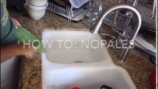 How to NOPALES  Vegan Mexican [upl. by Bollen]