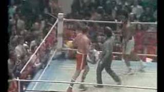 Muhammad Ali vs Chuck Wepner Round 15 final round 1975 [upl. by Eimrots799]