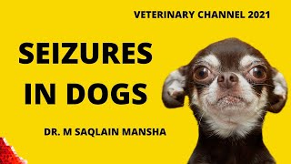 Veterinary Neurology The Causes Clinical Signs Diagnosis And Treatment Of Seizures In Dogs [upl. by Romalda]