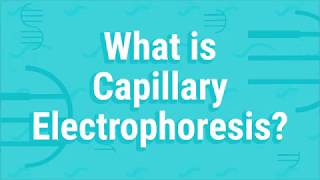 What Is Capillary Electrophoresis [upl. by Ynattyrb980]