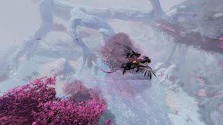 Guild Wars 2  Griffon flying in Nayos [upl. by Teri14]