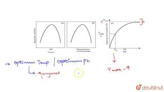 FACTORS AFFECTING ENZYME ACTIVITY [upl. by Htebasyle]