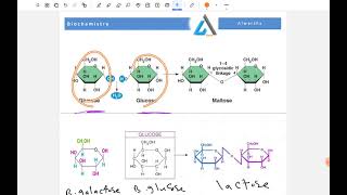 Disaccharides  Benha [upl. by Cynth90]