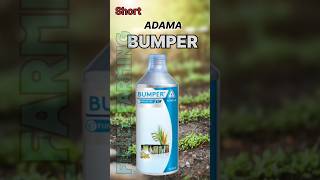 🌽Adama Bumper Fungicide  Propeconazol 25 EC [upl. by Eniar625]