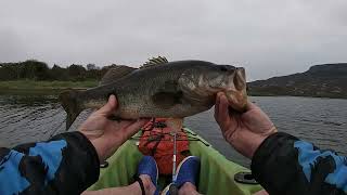 A Inanda Dam Quickie Bass Fishing [upl. by Ainomar]