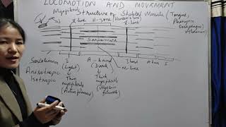 Locomotion and Movement Lecture 1 [upl. by Livingston]