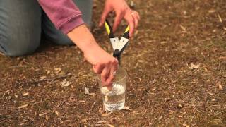 How to Prune Seedless Flame Grapes  Pruning Tips [upl. by Athiste]