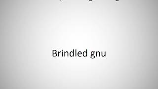 How to say Brindled gnu in English [upl. by Ahsil739]