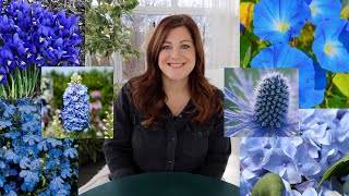 20 Plants With Blue Flowers 💙💙💙 Garden Answer [upl. by Manwell]