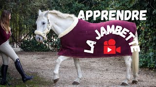 TUTO  Comment apprendre la jambette à son cheval [upl. by Mauceri]