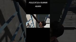 quotWhy I Will NEVER Stop Watching BayAreaBuggs and Polecat324 dojrp gta5 fivem [upl. by Eycal]