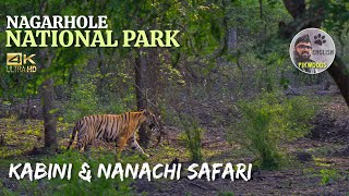 Forest Safari in Kabini and Nanachi Gates  Nagarhole National Park English  Karnataka [upl. by Bonny487]