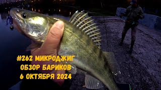 262 Микроджиг Обзор Бариков 6 октября 2024 [upl. by Sturdivant169]