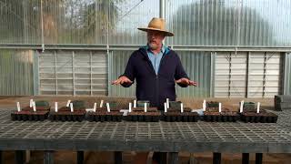 Seedling Soil Mix Assay Test [upl. by Curran]