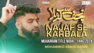 Arbaeen Noha 2024  NAJAF SE KARBALA  Arbaeen Walk  Mohammed Abbas Karim Muharram Nohay 20241446 [upl. by Odlanar]