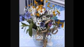 Hast du Liebe gesagt von Angelika milster [upl. by German]