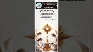 തിരുപാഥേയം emmausretreatcentremallappally syromalabar jesusstatus thirupatheyam [upl. by Roswell266]