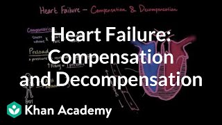 Compensation and decompensation in heart failure  NCLEXRN  Khan Academy [upl. by Akit]