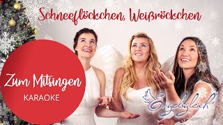 Schneeflöckchen Weißröckchen karaoke mit Untertiteln [upl. by Annahsat]