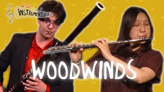 What are woodwind instruments [upl. by Onitsuj]