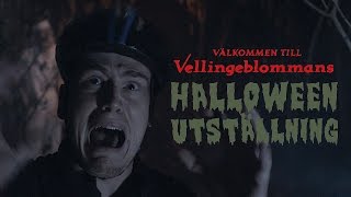 Halloween 2016  Vellingeblomman [upl. by Dami397]