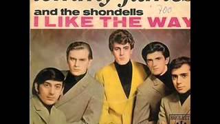 Tommy James and the Shondells I Think Were Alone Now [upl. by Jarib]