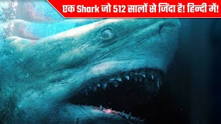 रहस्यमय Greenland Shark जो 512 सालों से जीवित है Mysterious Shark Alive From 512 Years  FaHindi [upl. by Grose102]