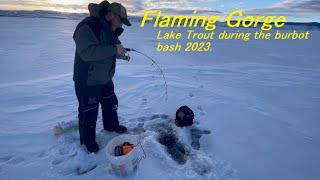 Burbot Bash 2023 Flaming Gorge Reservoir Ice Fishing [upl. by Orelu]