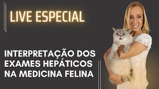 Interpretação de Exames Hepáticos na Medicina Felina Cats Academy  Dra Paty Bastos [upl. by Yvad]