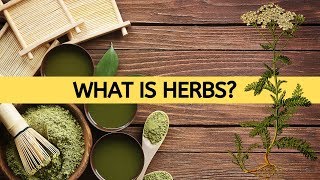 What Is Herbs  Herb And Their Uses [upl. by Lorn]