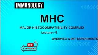 MHC  Major histocompatibility Complex  Lecture  5 Immunology csirnet [upl. by Enaid]