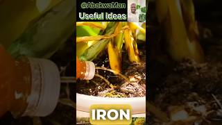 Simple Garden and conservation ideas shorts plants garden orto gardeningtips vegetables green [upl. by Venn597]