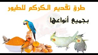 فوائد الكركم التومريك للطيور وطريقة تقديمه للطيور [upl. by Zack]