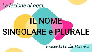 IL NOME SingolarePlurale  Videolezione per la classe PRIMA della scuola primaria [upl. by Nahs]