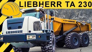 Liebherr TA 230 Dumper Einsatz  Walkaround amp Demo im Steinbruch Jobreport [upl. by Mallina111]