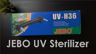 JEBO UV sterilizer reef tank review installation guide [upl. by Aihtenak]