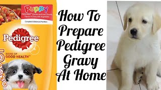 How to Prepare Pedigree Gravy at Home  My Dogs Reaction to Pedigree Gravy [upl. by Pate]