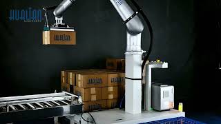 Automatic Robotic Palletizer Systems For Carton Hualian HPR25 [upl. by Yrak]