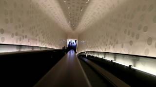 Elbphilharmonie Tube Bestes Video abwärts Rolltreppe [upl. by Einohtna]