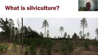 Intro to Silviculture part 1 [upl. by Marga758]