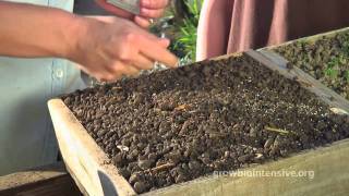 Session 2 GROW BIOINTENSIVE A Beginners Guide  Growing Seedlings in Flats [upl. by Azar]